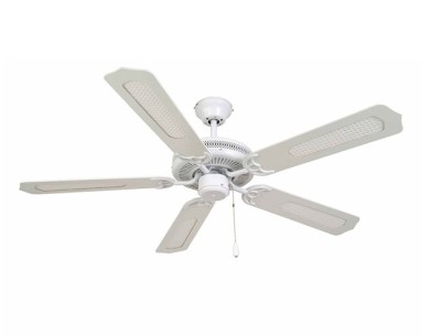 A05 White (WH)